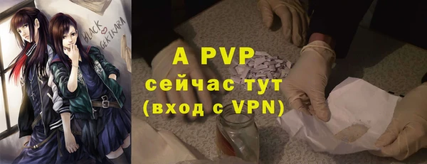 спайс Белокуриха