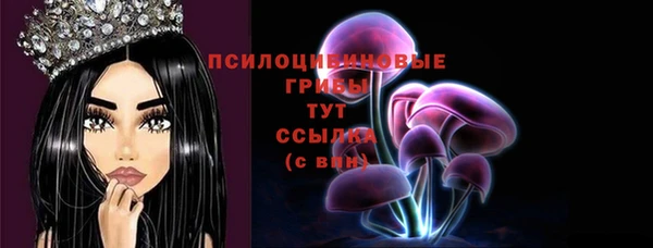 мяу мяу мука Беломорск