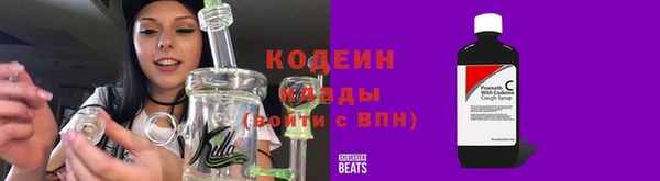 прущие грибы Тайга