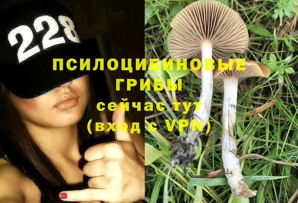 apvp Баксан