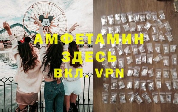 прущие грибы Тайга